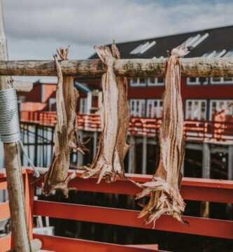 Lokale delikatesser i Norge